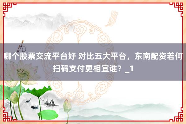 哪个股票交流平台好 对比五大平台，东南配资若何扫码支付更相宜谁？_1