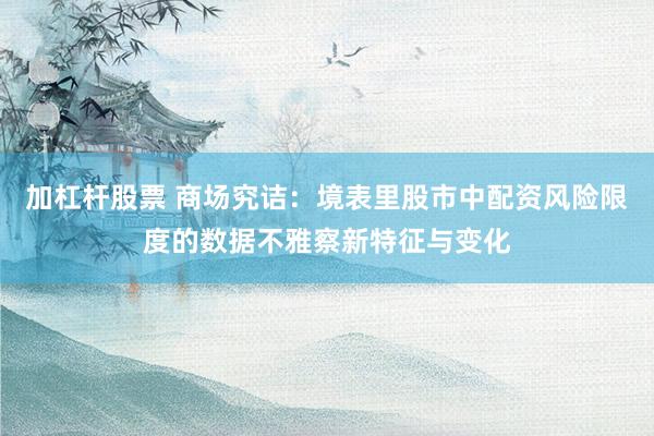 加杠杆股票 商场究诘：境表里股市中配资风险限度的数据不雅察新特征与变化